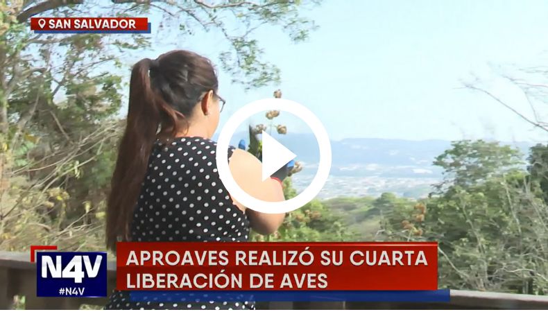 Liberación de aves en peligro de extinción