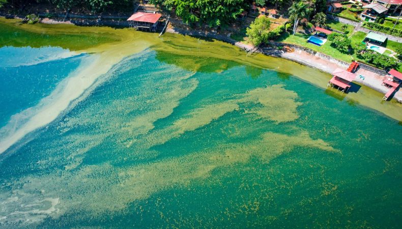MARN informa sobre el aumento de cianobacterias en el lago de Coatepeque.