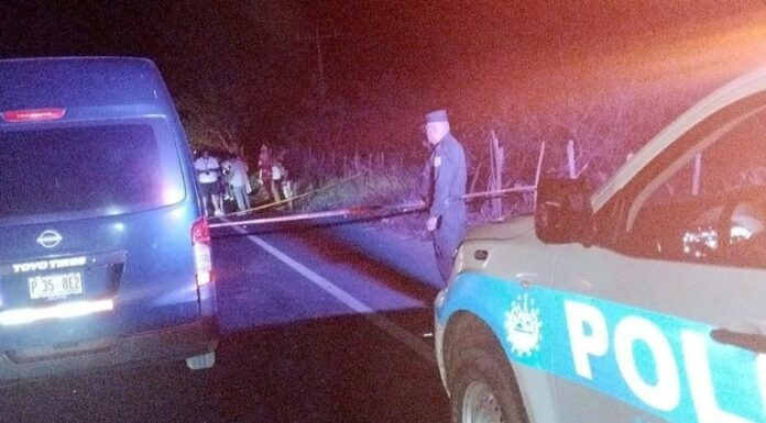 Personas atropelladas siguen incrementando en Semana Santa