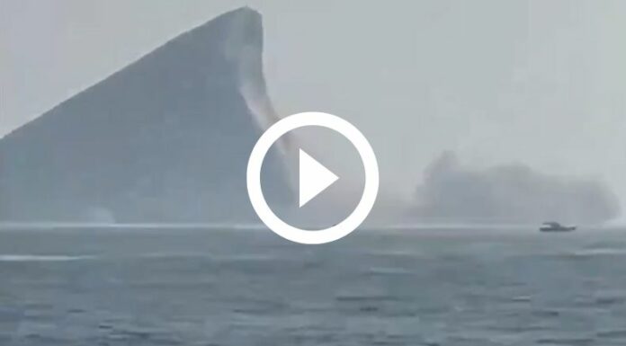 Destrucción en la Isla de la Montaña de la Tortuga