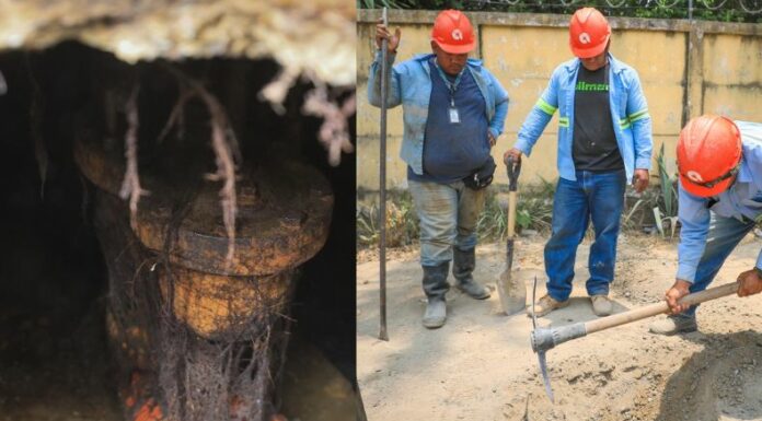 ¡Supuestas emanaciones de gas son producto de una válvula!