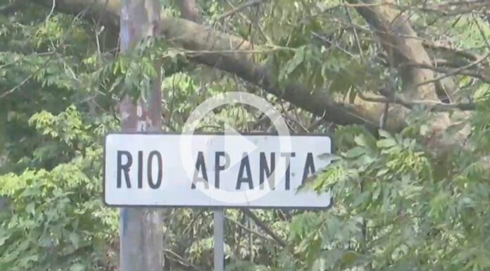 Denuncian contaminación en Río Apanta, La Paz