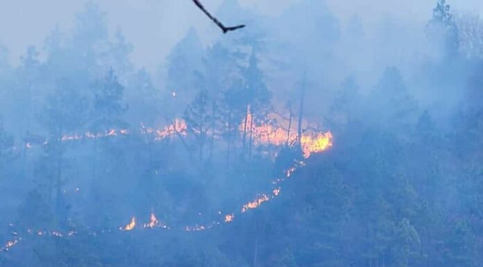 Guatemala declara Estado de Calamidad por incendios forestales
