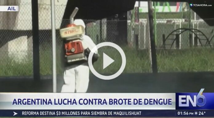 Brote histórico de dengue suma varios fallecidos en Argentina.