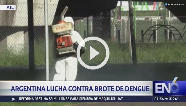 Brote histórico de dengue suma varios fallecidos en Argentina.