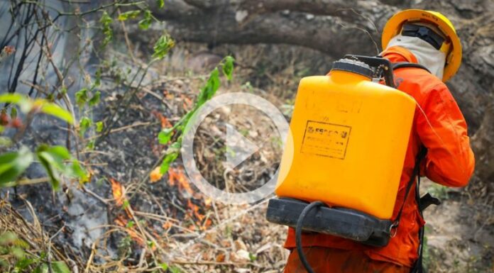 Baltazar Solano presenta balance de incendios en lo que va del año