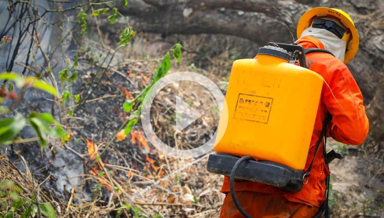 Baltazar Solano presenta balance de incendios en lo que va del año