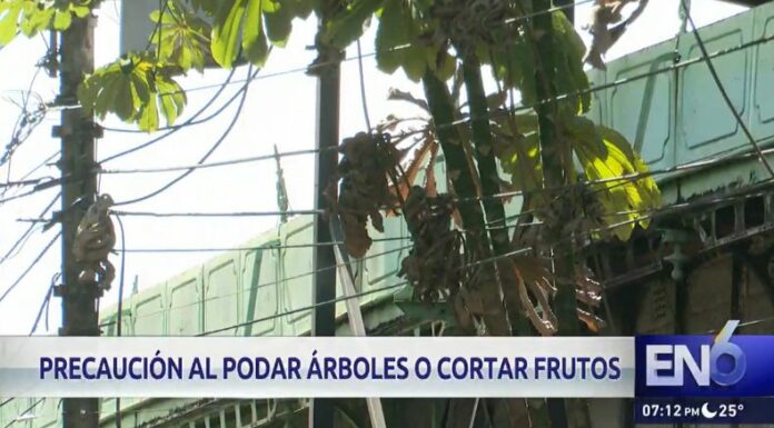 Cuidados a tener con el tendido eléctrico