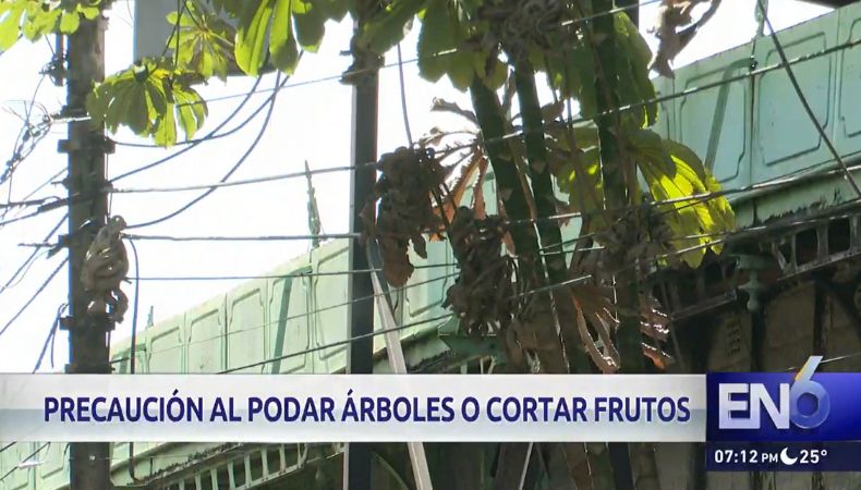 Cuidados a tener con el tendido eléctrico