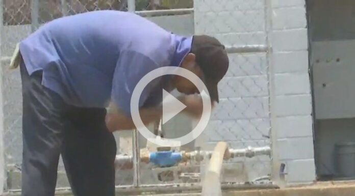 Fundación Gloria Kriete otorga vida al proyecto: 