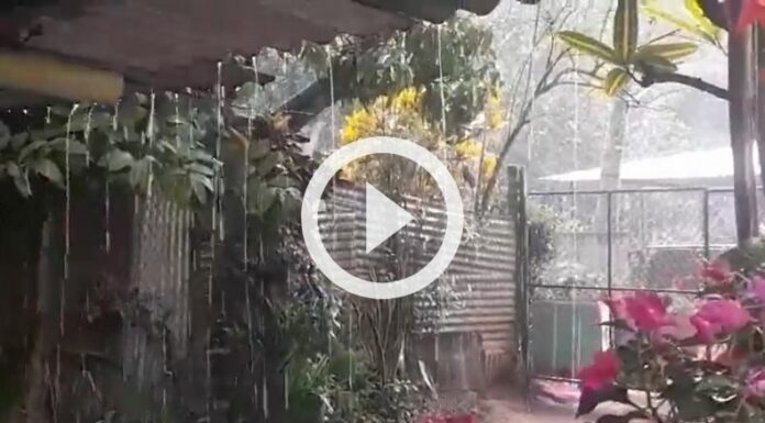 Se registran lluvias en varios puntos del país.