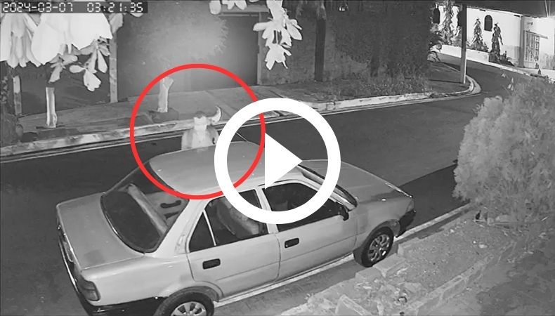 PNC captura a presunto ladrón en Soyapango