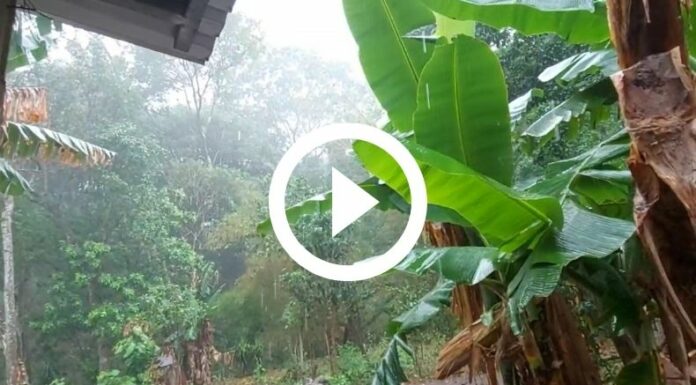 [Video] Lluvias en diferentes puntos del país | 21 de abril de 2024