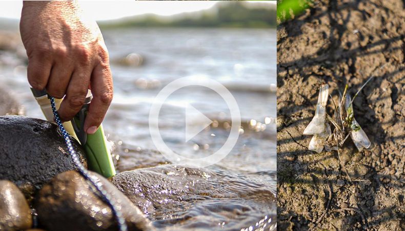 ¿Por qué hay muertes de camarones en el Bajo Lempa?