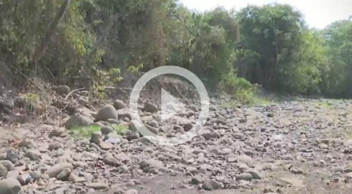 ¡En agonía, así está el río San José, El Naranjo!