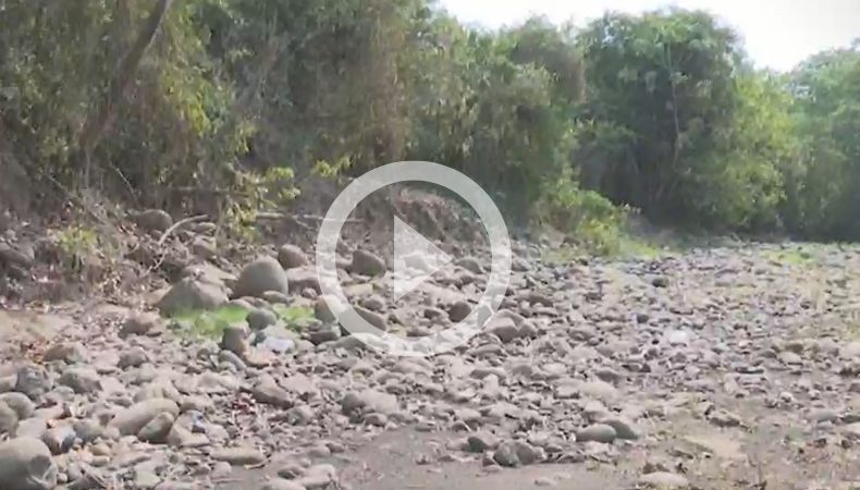 ¡En agonía, así está el río San José, El Naranjo!