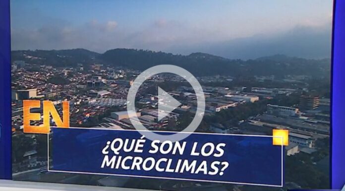 ¿Qué son los microclimas?