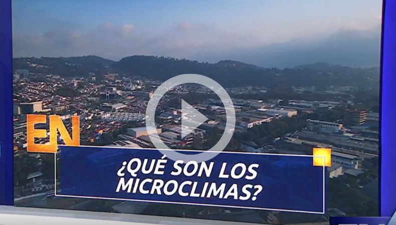 ¿Qué son los microclimas?