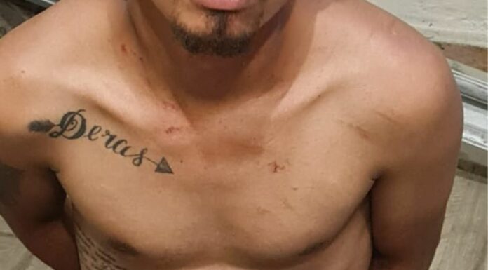 Ahora | PNC captura a un presunto homicida en San Miguel