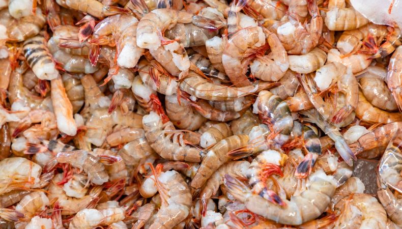 Veda nacional de camarón marino inicia el dos de mayo