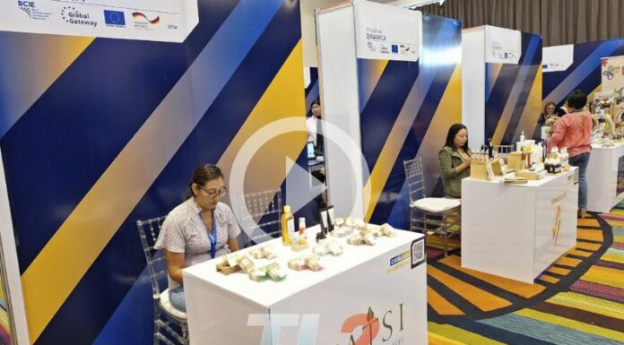 BCIE habilita $2.8 millones de capital semilla para emprendedores