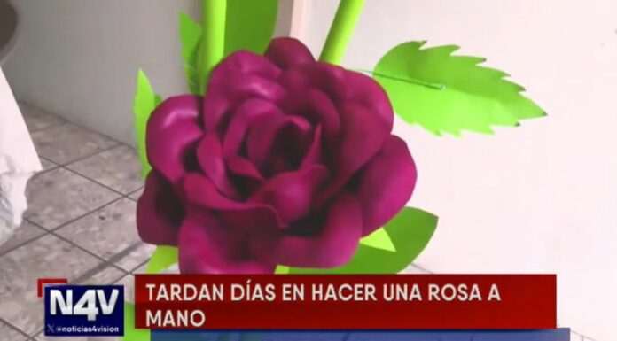 Una pareja que demuestra el amor con rosas gigantes