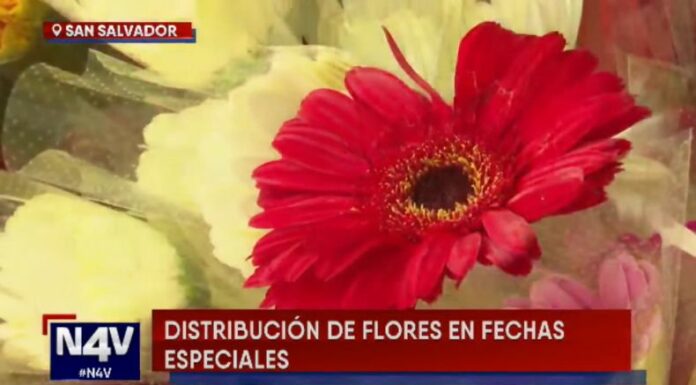 Las flores, un detalle que nunca pasará de moda