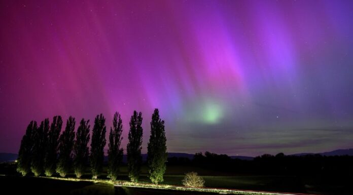 Auroras boreales