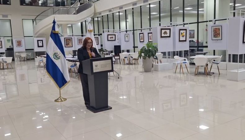 Superintendencia del Sistema Financiero devolverá dinero a personas que tenían ahorros de $1,000 o menos en COSAVI