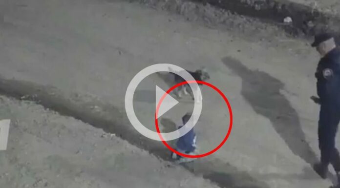 [Video] Rescatan a un bebé que gateaba sola en la madrugada