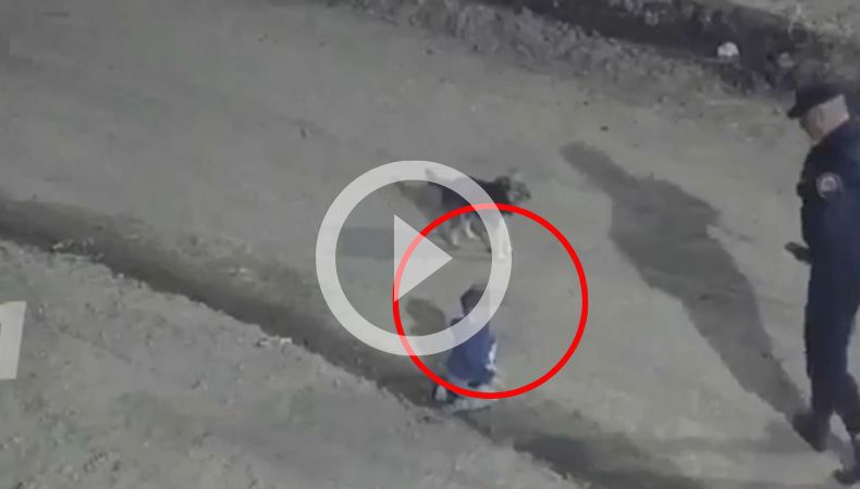 [Video] Rescatan a un bebé que gateaba sola en la madrugada
