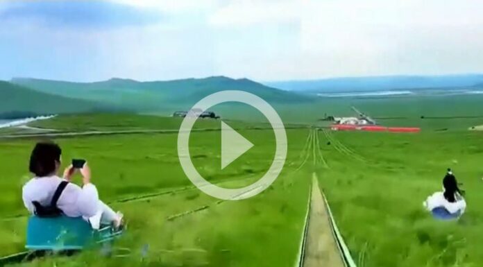 [Video] ¡China tiene increíbles toboganes en medio del césped!