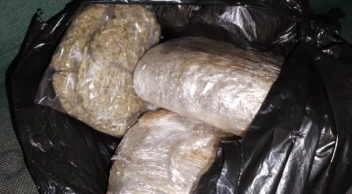 Capturan a sujetos vinculados a tráfico ilícito y tenencia de droga