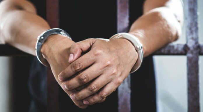 Capturan a presunto pandillero salvadoreño procedente de Canadá.