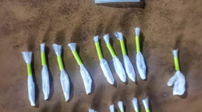 Capturan a mujer que movilizaba droga en Apopa