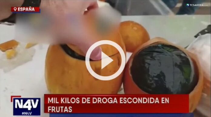 Encuentran más de 1,000 kilos de cocaína escondida en melones.