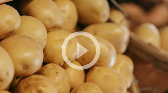 ¡Se reporta un incremento de precio en la papa!