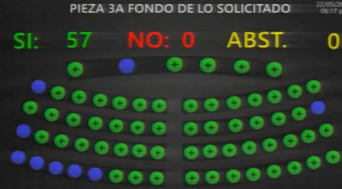 Diputados aprueban licencia remunerada al sector privado el 1 de junio