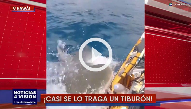 Tiburón ataca a un pescador en Hawái.