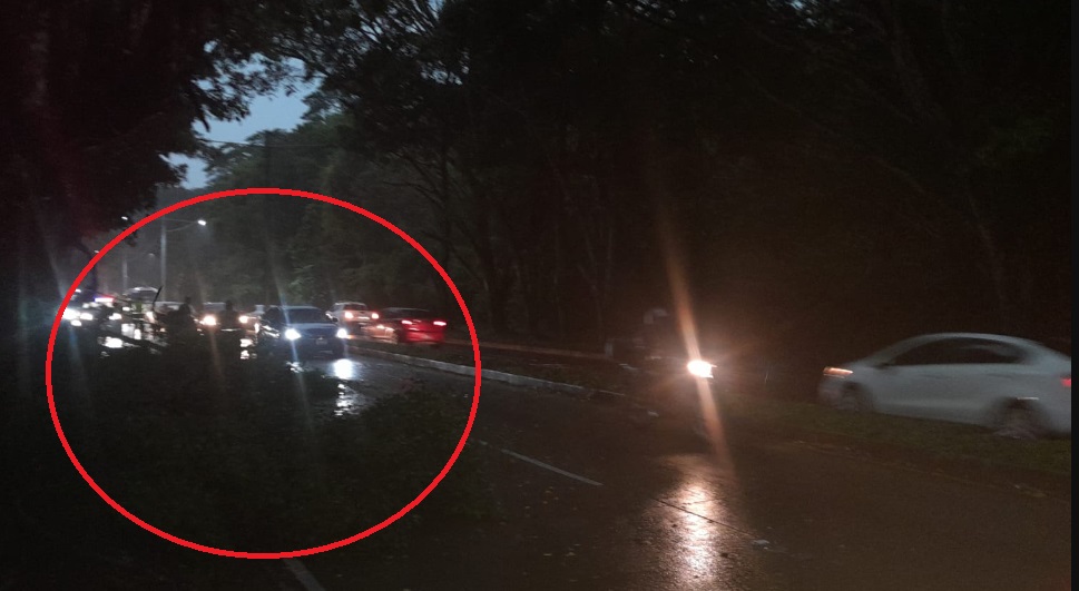 Árbol caído cerca de una residencial privada en Santa Tecla