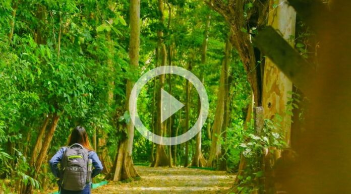 La prevención evita incendios en el parque de Aventuras Walter Thilo Deininger