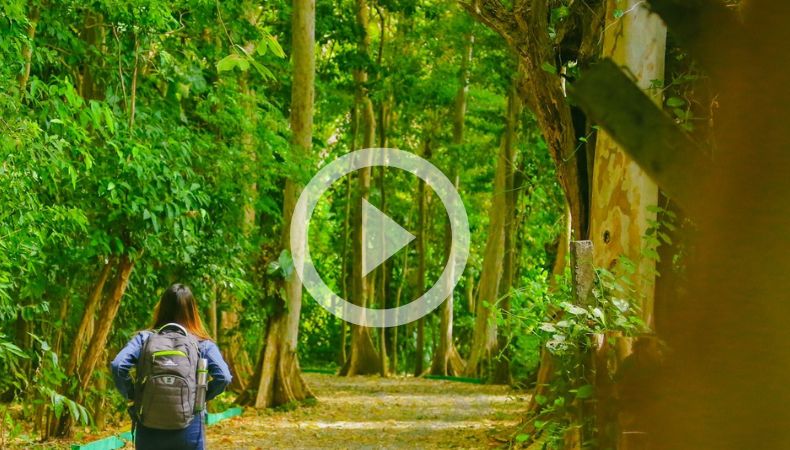 La prevención evita incendios en el parque de Aventuras Walter Thilo Deininger