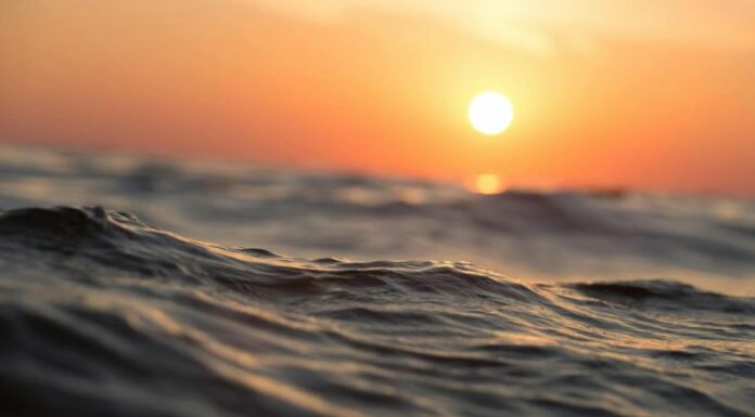 ONU: Mayo 2024 fue el más caluroso de la historia