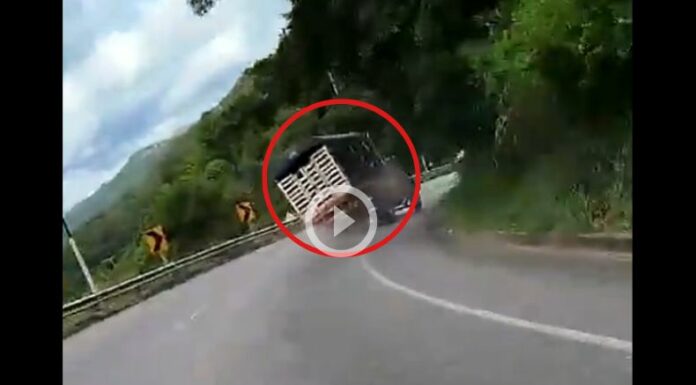 Accidentes de tránsito