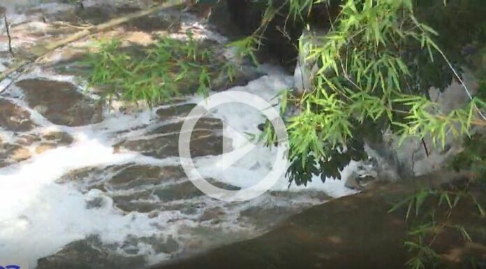 Ríos y quebradas son contaminadas con desechos sólidos