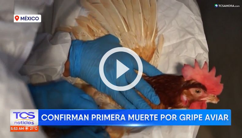 OMS confirma la primera muerte humana por gripe aviar en México.