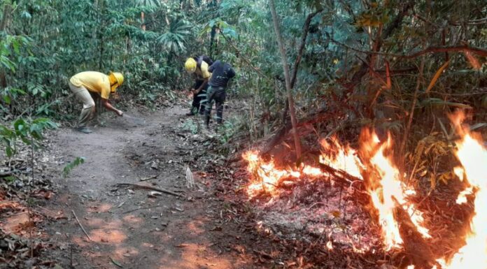 Guatemala registra más de 90 incendios forestales activos.