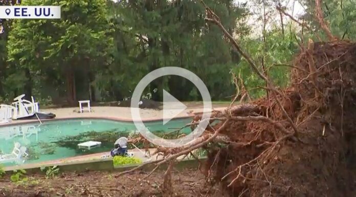 Estados Unidos: Tornados dejan un muerto y varios heridos