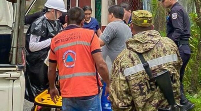 Brindan asistencia a personas afectadas por picaduras de abejas.