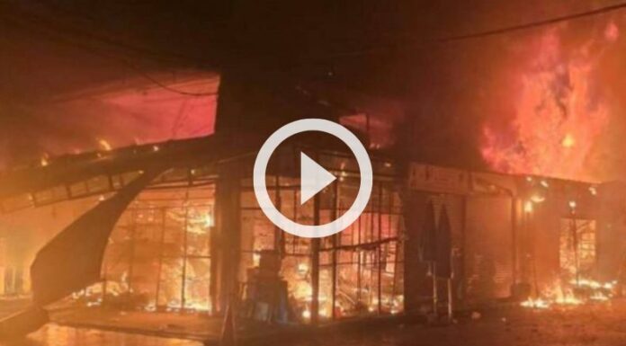 Cientos de animales murieron tras incendio en mercado de mascotas.